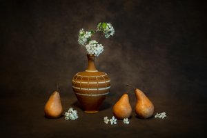 Nature morte rustique aux fleurs épanouies - Siyu_Wei APA