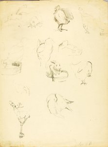 Études sur les animaux - Solon H. Borglum