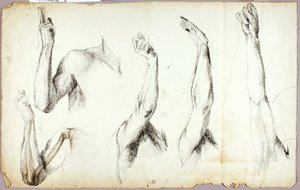 Études sur les bras, n° 2