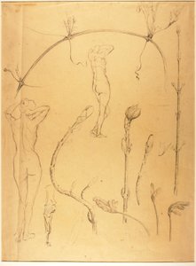 Branche et étude de nu - Solon H. Borglum