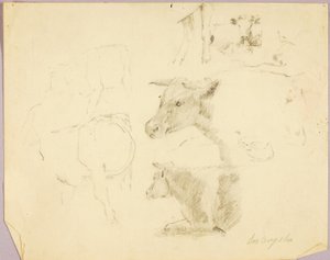 Vaches - Solon H. Borglum
