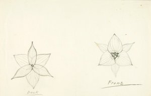 Cadre de la fleur - Solon H. Borglum