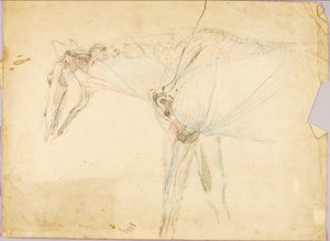 Étude sur les chevaux - Solon H. Borglum