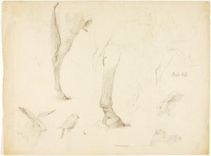Étude sur les chevaux et les lapins - Solon H. Borglum