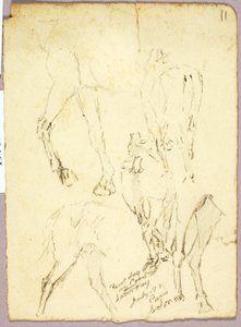 Chevaux - Solon H. Borglum