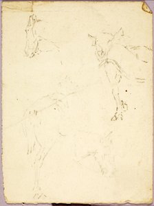 Chevaux
