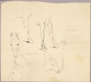 Chevaux - Solon H. Borglum