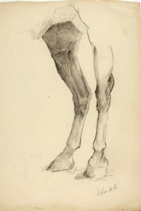 Jambe de cheval - Solon H. Borglum