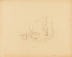 Paysage - Solon H. Borglum