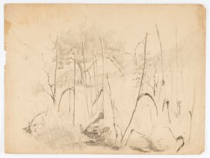 Paysage - Solon H. Borglum