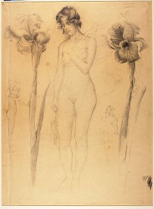 Nu et iris