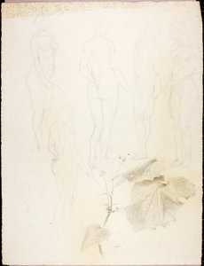 Nus et feuilles - Solon H. Borglum