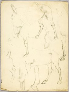 Étude de portrait, Étude de cheval - Solon H. Borglum