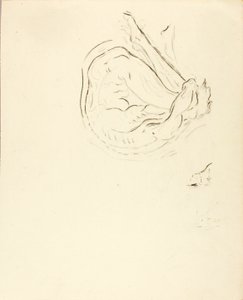Nageur - Solon H. Borglum