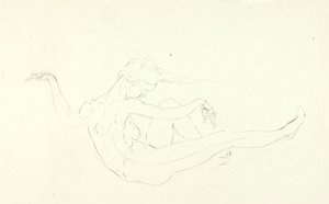 Nager nu - Solon H. Borglum