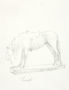 Tamed - Solon H. Borglum