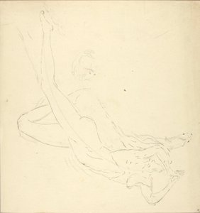 Le plongeon #3