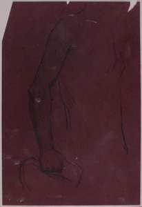 Torse, étude pour le monument équestre - Solon H. Borglum
