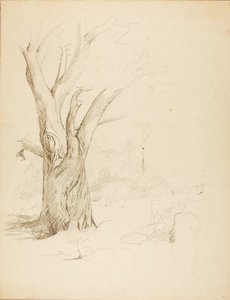 Sans titre - Solon H. Borglum