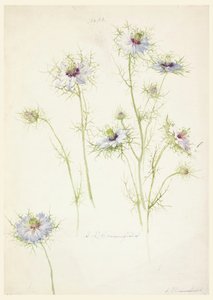 Dessin, études : L