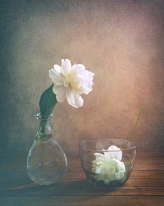  - Sophie Pan
