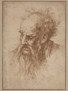 Un vieil homme à la barbe flottante - Spanish 17th Century