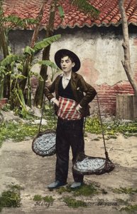 Vendeur de poisson, Malaga, Espagne (photo en couleur) - Spanish Photographer