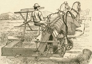 Une machine de récolte, tirée par des chevaux, qui liait mécaniquement les gerbes de blé, utilisée à la fin du XIXe siècle. Du Museo Popular publié à Madrid - Spanish School