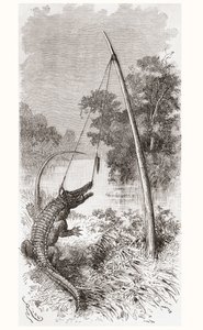 Un piège à alligator sur le fleuve Oyapock ou Oiapoque, qui forme la frontière de la Guyane française et du Brésil