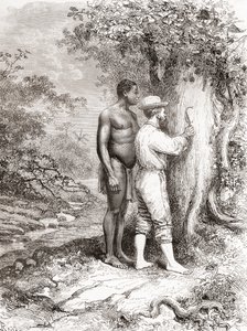 Jules Crevaux, lors de son exploration de la Guyane française en 1878, gravant ses initiales sur un arbre sur les rives du fleuve Oyapock ou Oiapoque
