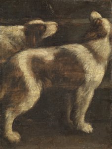 Deux chiens