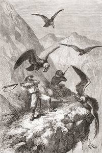 Édouard François André et son compagnon attaqués par des condors près de Calacali, province de Pichincha, Équateur, lors de son expédition botanique dans les contreforts des Andes en 1875-76 - Spanish School