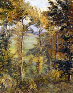 Paysage boisé à Tibermont, Neuville Les Dieppes