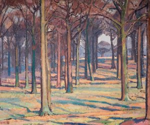 Bois dans Richmond Park