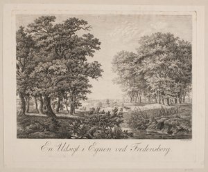 Une vue dans la région de Fredensborg - Søren Henrik Petersen