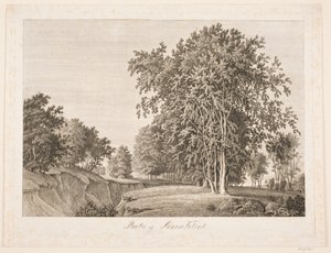 Partie de la falaise de Møens