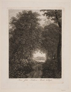 Chemin forestier