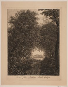 Chemin forestier