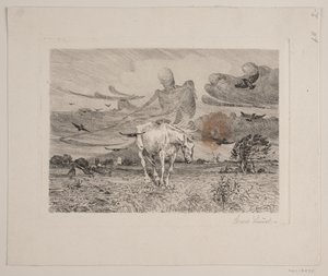 Le vieux cheval et la mort - Søren Lund