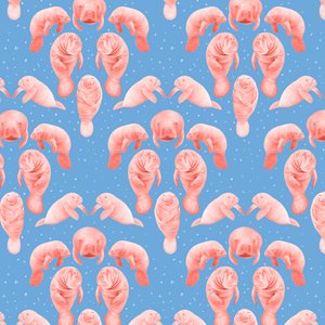 Motif de lamantin, 2023 - Stacy Hsu