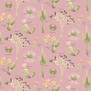 Motif de cactus du désert de Mojave, 2021 - Stacy Hsu