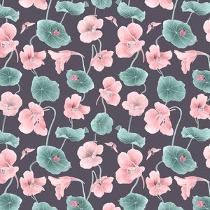 Motif de capucine coloris 1, 2020 - Stacy Hsu