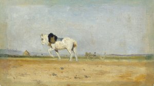 Cheval de labour dans un champ