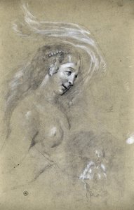 Étude de profil de femme