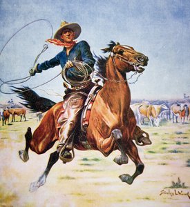 Cowboy du Texas