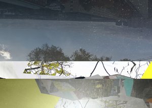 Une nature urbaine fragmentée