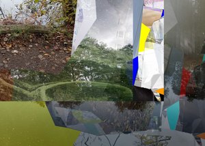 Une nature urbaine fragmentée - Stefan Fransson