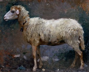 Mouton de profil