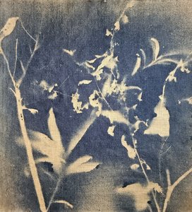 - Stefano Mazzolini