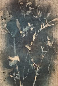  - Stefano Mazzolini